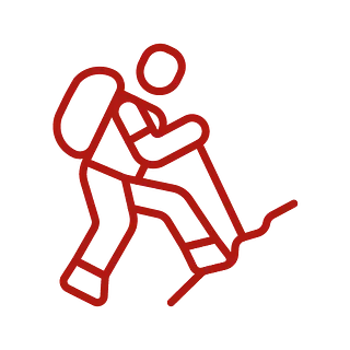 Wanderer Icon