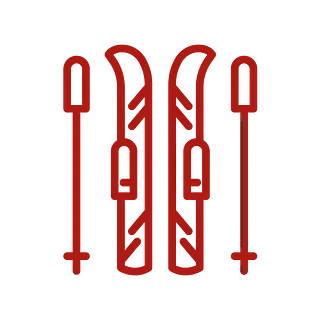 Ski Icon